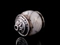 PA294 Perle Argent Massif Coquillage