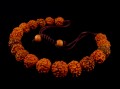 BrMala25 Bracelet Mala Rudraksha