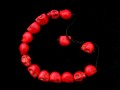 BrMala223 Bracelet Mala Tibétain Crâne Os de Buffle