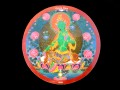 DDD60 Sticker Tara