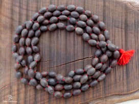 Mala77 Mala de Prières Graines de Lotus Tibet 10 mm