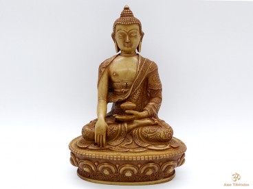 St80 Statue Bouddha