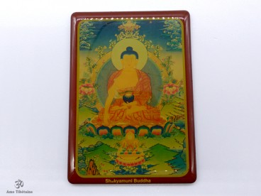 DDD30 Magnet Tibétain Bouddha Népal Tibet