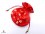 PochTib82 Petite Pochette Tibétaine pour Mala