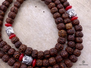Mala86 Mala de Prières Rudraksha 
