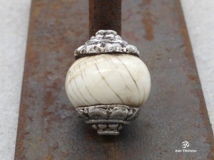 PA295 Perle Argent Massif Coquillage
