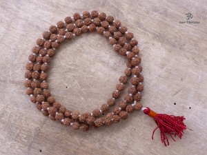 Mala167 Mala de Prières Rudraksha