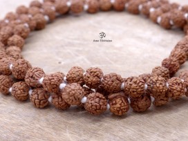 Mala166 Mala de Prières Rudraksha