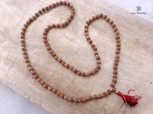 Mala166 Mala de Prières Rudraksha