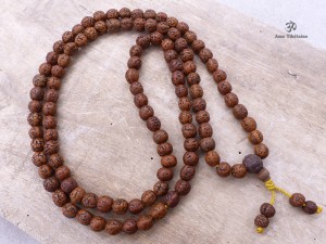 Mala167 Mala de Prières Rudraksha