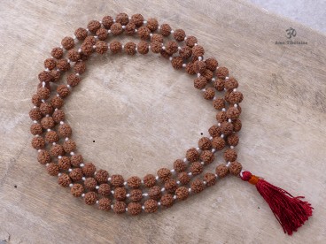 Mala170 Mala de Prières Rudraksha