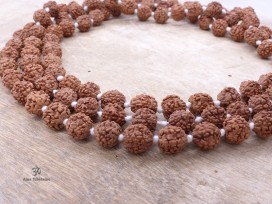 Mala170 Mala de Prières Rudraksha