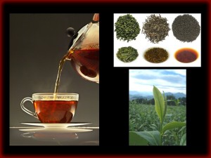 Thés de l’Himalaya
